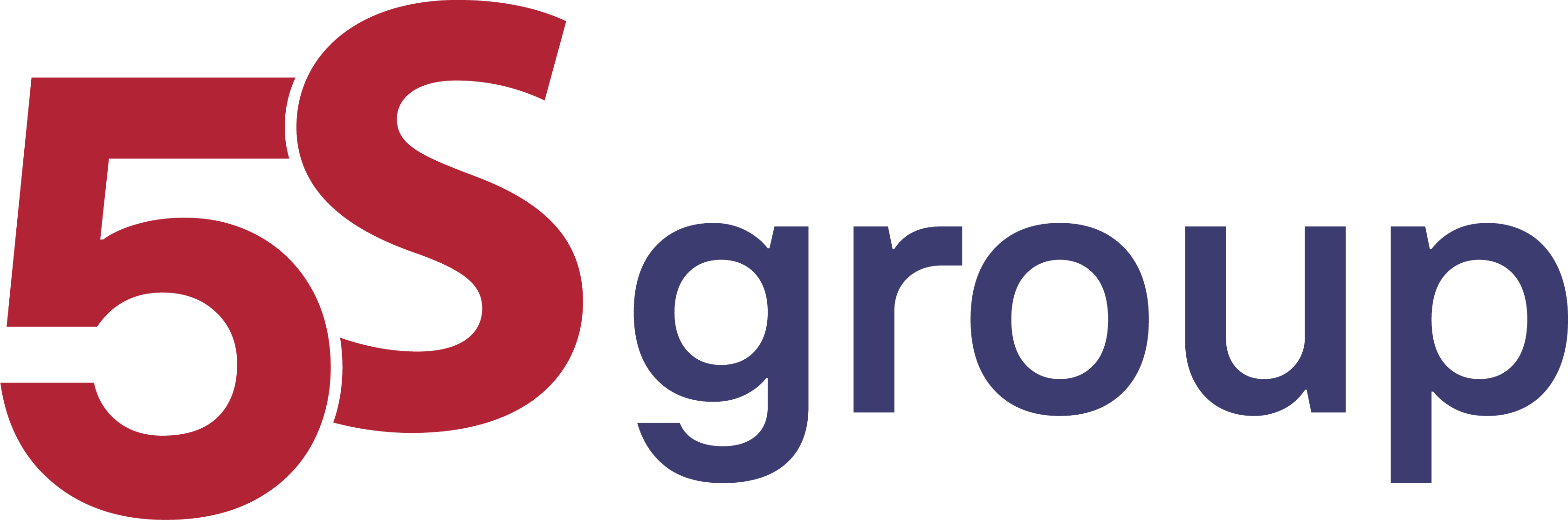 Logo 5S Group